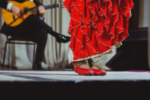 Spectacle de Flamenco à Séville